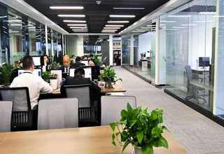 日照大米塑料手提扣生产厂家